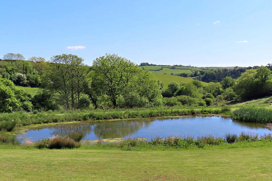Webland Farm pond and countryside
